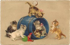 6 kittens playing with a blue barrel.written on the back.