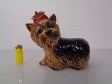 Yorkshire Terrier 3003515