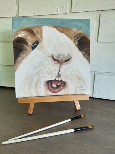 Cochon inde peinture - d'inde,