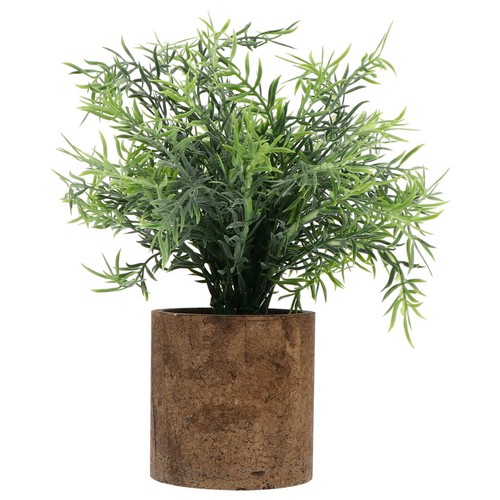 Plantes artificielles - plantes,