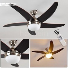 Ventilateur de plafond Lustre