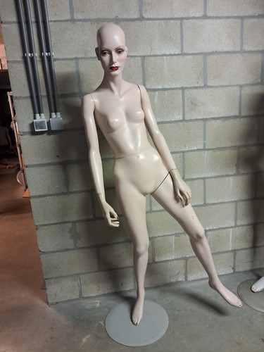 Vintage hindsgaul realistic - vintage, hindsgaul,