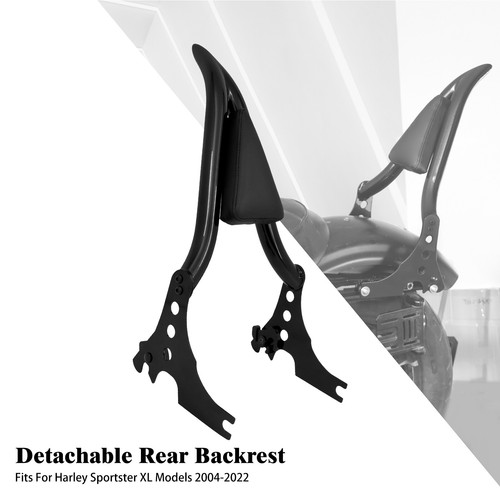 Detachable passenger sissy bar - detachable,