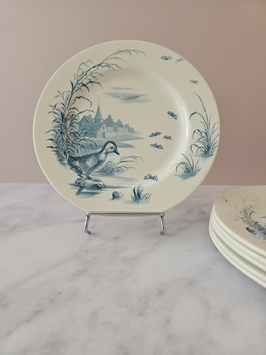 Assiettes plates service - assiettes,