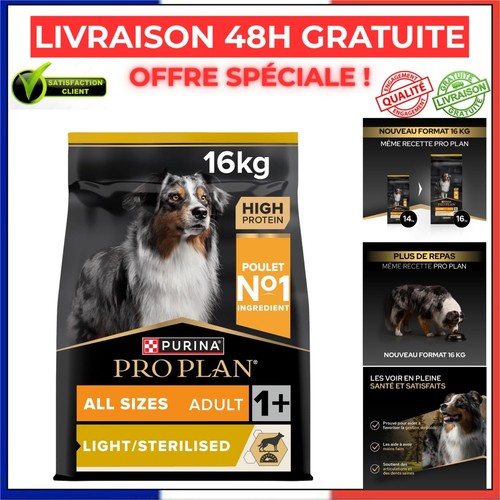 Croquettes chien adulte