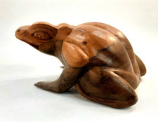 Belle Grenouille ou crapaud