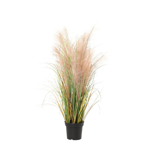 Herbe artificielle phragmites