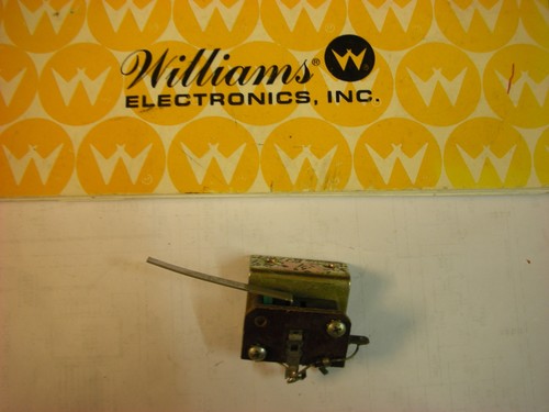Flipper williams lame - , plate