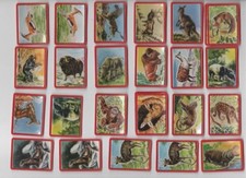 VITHO YOGURT VIGNETTES PLASTIC IMAGES ANIMALS OF THE WORLD 40x52mm to choose from