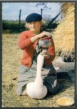 Carte postale n° 32/103 , La