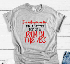 I'm Not Gonna Lie, I'm a Little Bit of a Pain in the Ass,  Gray, Unisex T-shirt