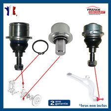 Rotule Inférieure Supérieure