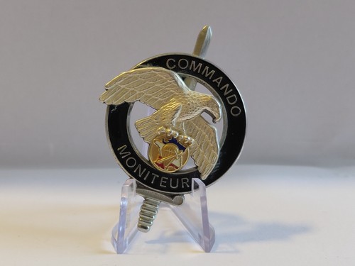 Insignes brevet cnec - brevet,