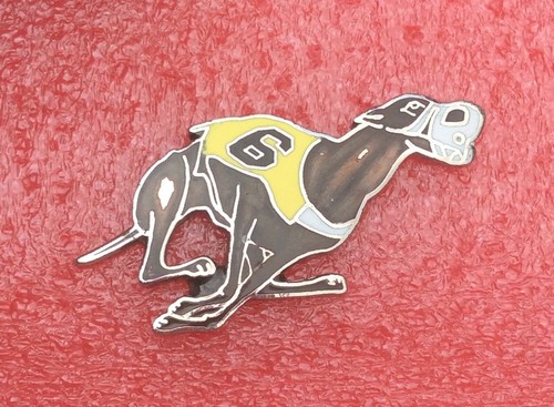 T27 pins chien - t27,