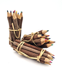 Crayons de Couleurs Branche