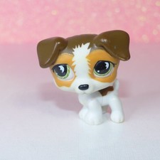 authentic LPS petshop 804