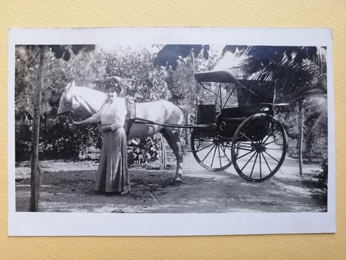 Cpa carte photo attelage - cpa,