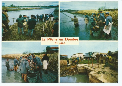 Multivues peche en - cp, la