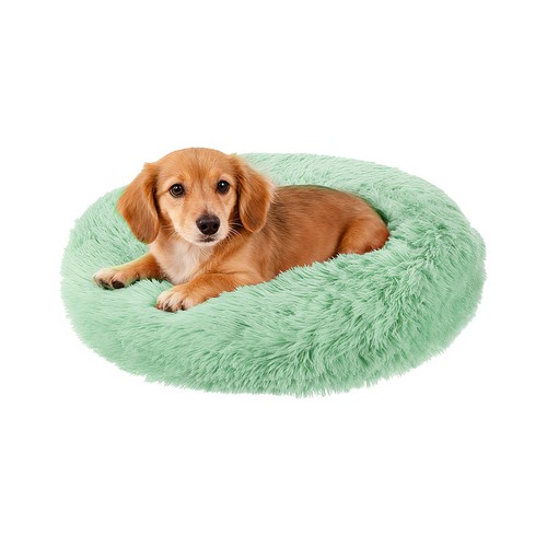 Pour chat chien - chat, et