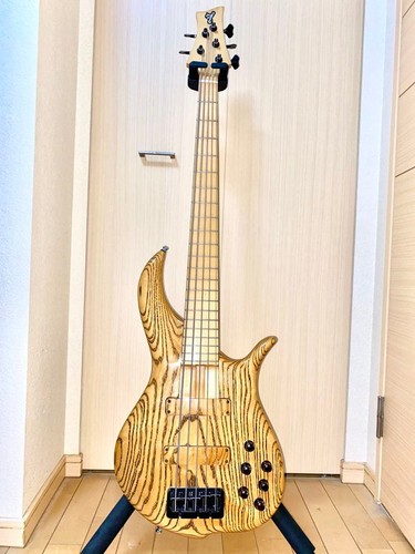 Guitare basse électrique