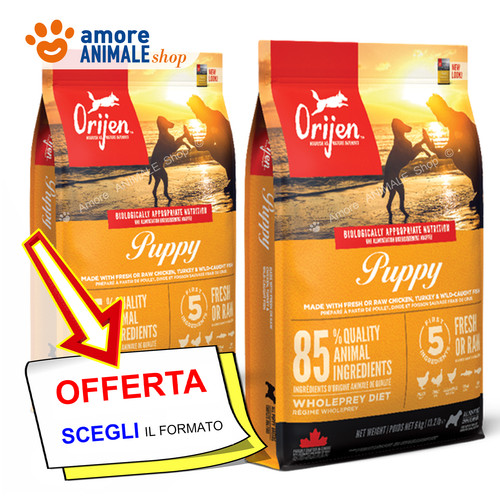 Orijen chien puppy 6 - 2,
