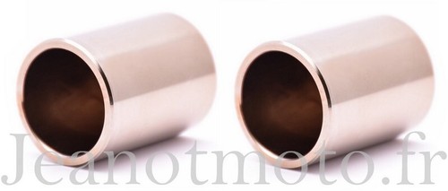 Pistons neufs étrier de - 2,