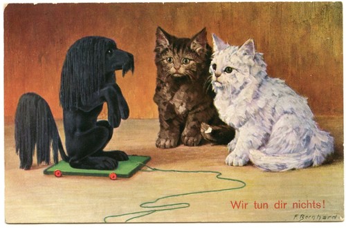 Illustrateur bernhard - illustrateur,