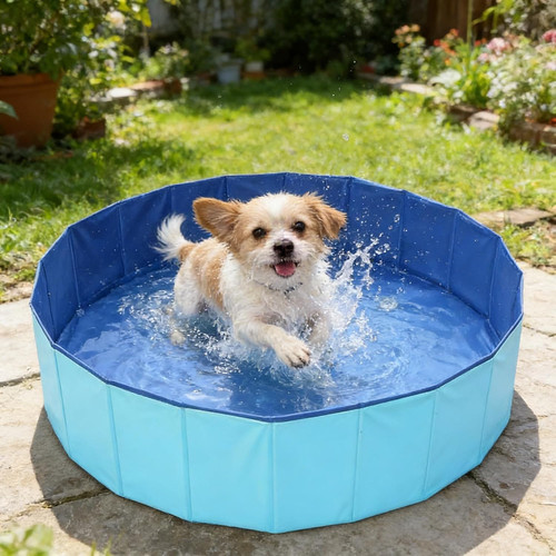 Piscine pour chien baignoire - piscine,