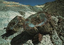 Petrified Forest National Park Rocks Arizona Vintage Postcard Unposted