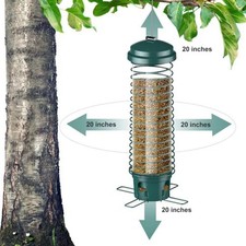 Mangeoire ?? oiseaux avec d??fense ??cureuil et esth??tique verte charmante pour