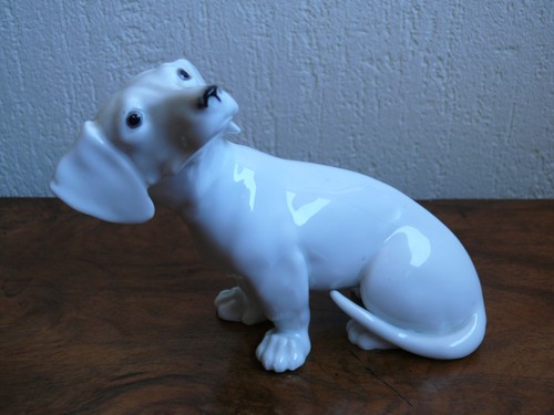 Superbe très rare - , chien