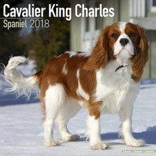 Calendrier 2018 - CAVALIER
