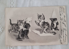 CPA CARTE POSTALE  1900  CHATS