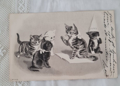 Cpa carte postale 1900 chats - cpa,
