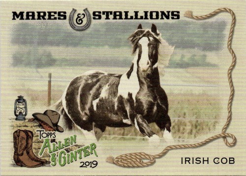2019 topps allen - topps, &