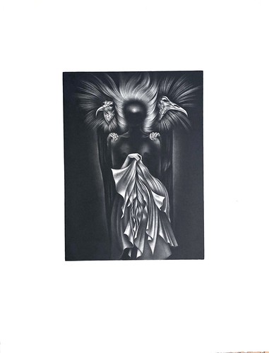 Donatella voile gravure - t, le