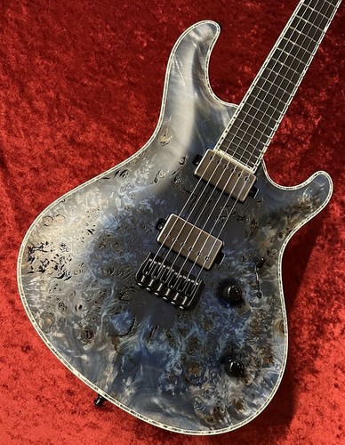 Mayones regius core - regius,