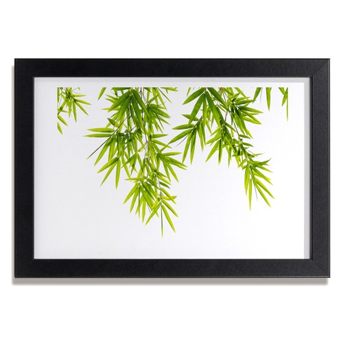 Tulup photo salon 30x20cm - tulup,