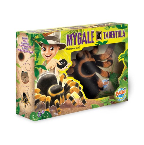 Mygale tarentule