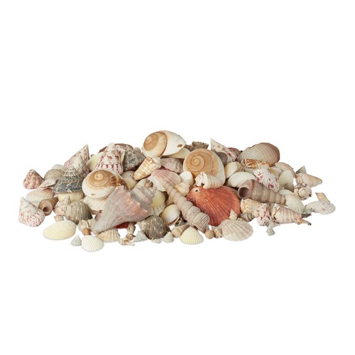 Mélange coquillages - mélange,