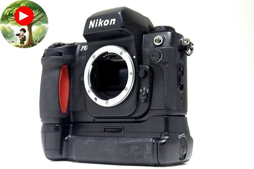 Collant mint nikon f100 - collant, [mint]