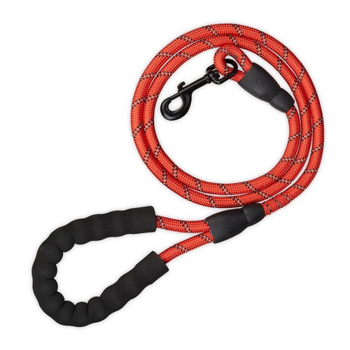 Laisse chien longe - longe,