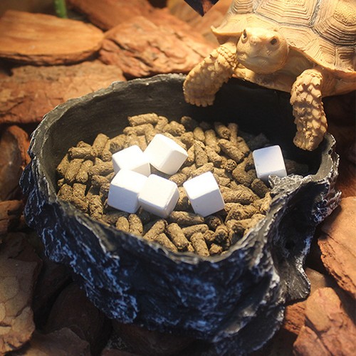 Pcs bloc calcium tortue - calcium,
