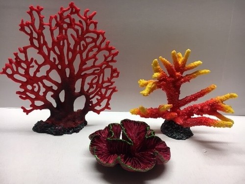Corail aquarium reef - corail,