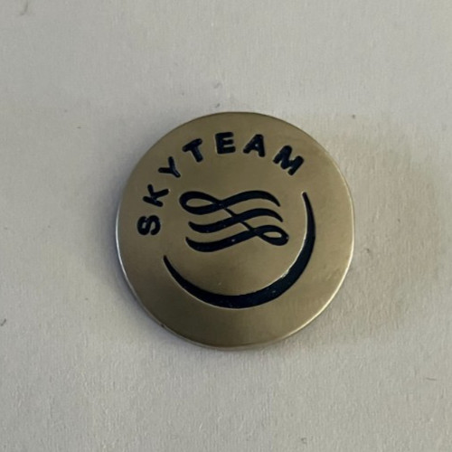 Pin s logo skyteam - 96,