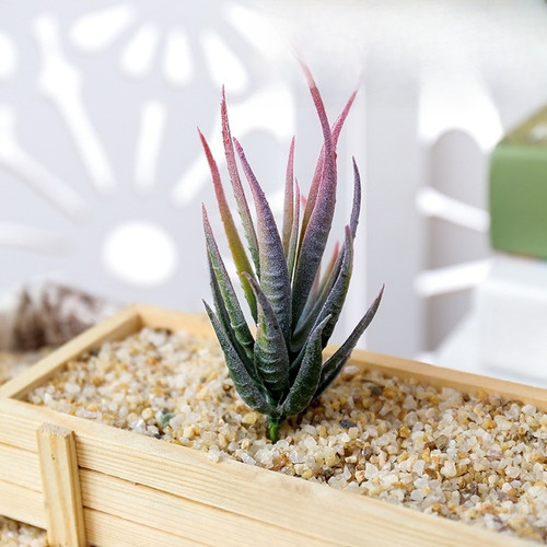 Fausse plante aloès pour - fausse,