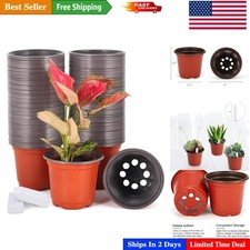 Grow Your Garden with 100 Mint