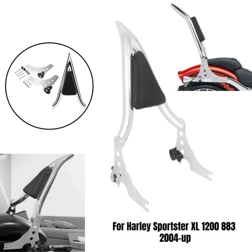 Detachable passenger sissy - passenger,