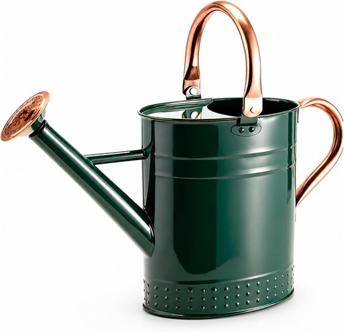 Arrosoir gallon acier - arrosoir, 1