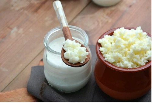 Kéfir lait bio 10gr tres - kÉfir,